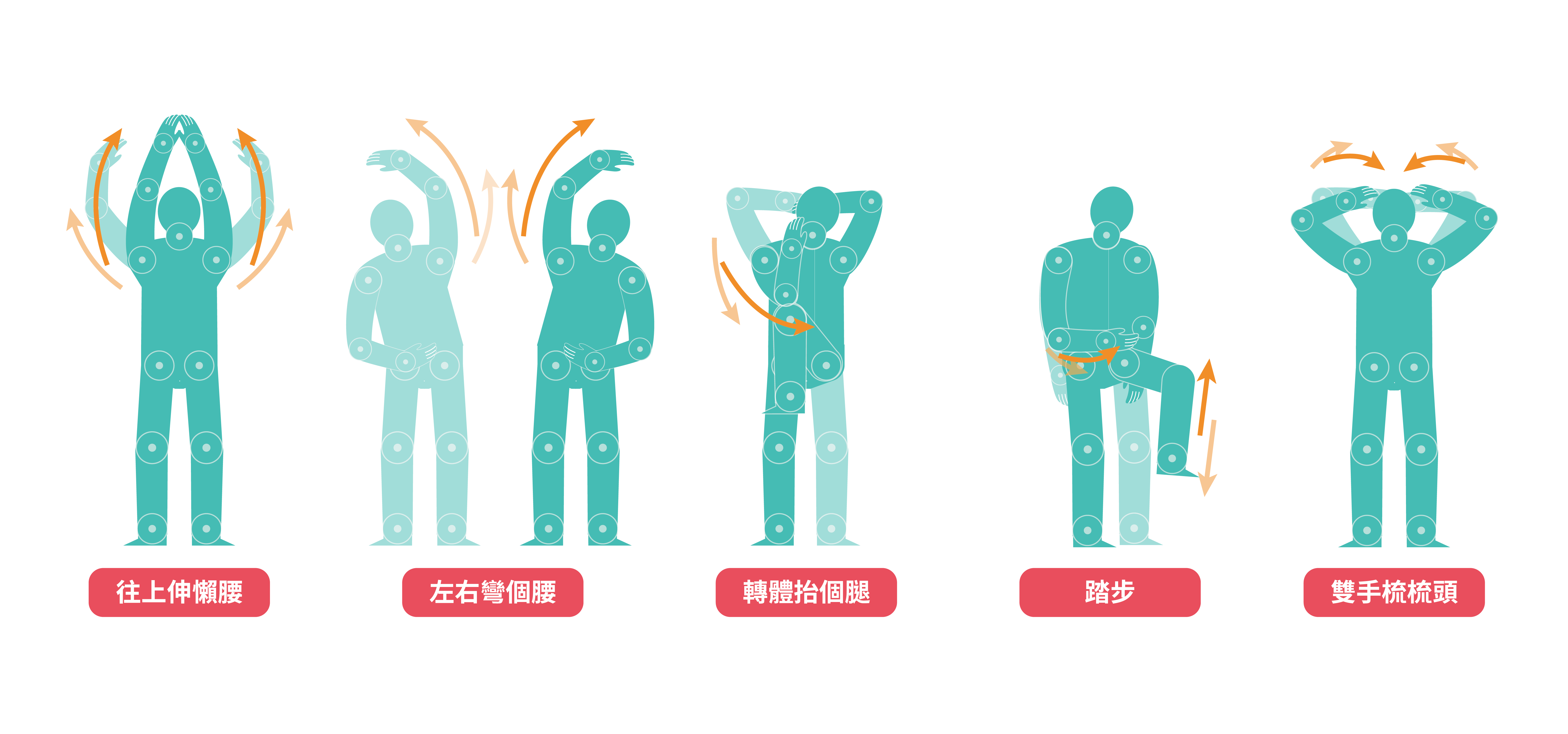 圖說：「5動5健康」動作站姿版示意(詳請閱新聞稿內容)